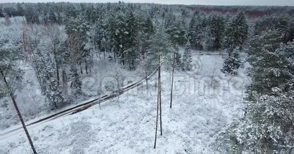 冬季雪林的鸟瞰图视频的预览图