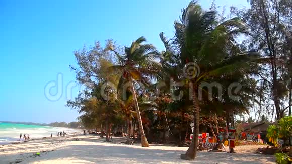 坦桑尼亚海滩视频的预览图
