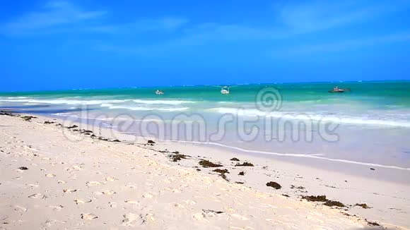 坦桑尼亚海滩视频的预览图