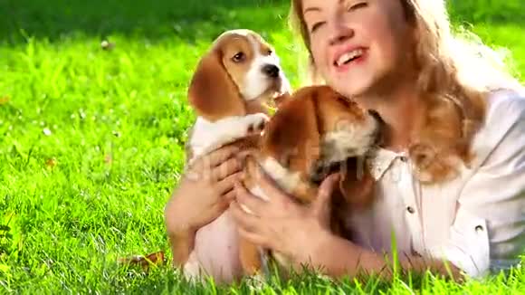 快乐的女人和一只狗猎犬在大自然中玩耍视频的预览图