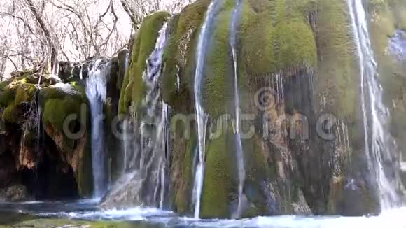 九寨沟青苔瀑布视频的预览图