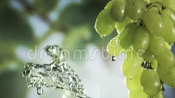 洗一串新鲜健康的绿色葡萄视频的预览图