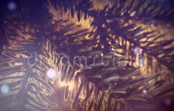 节日松树装饰闪闪发光视频的预览图