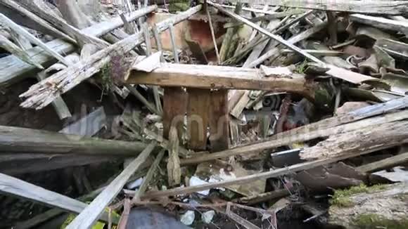 房子被地震摧毁了视频的预览图
