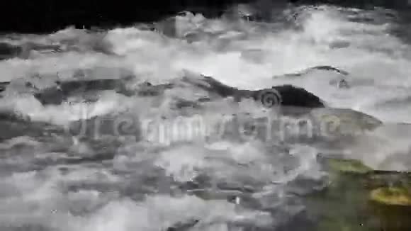 流淌的山涧视频的预览图