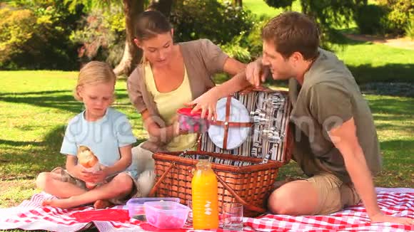 可爱的家庭和野餐篮视频的预览图