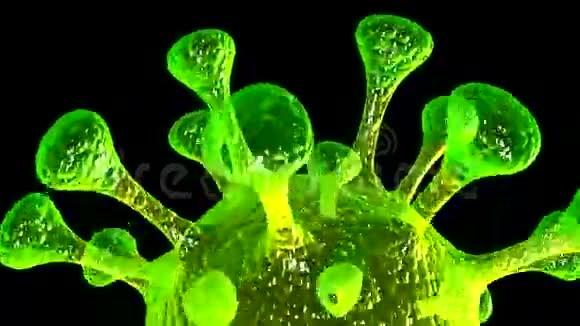 微生物3d视频的预览图