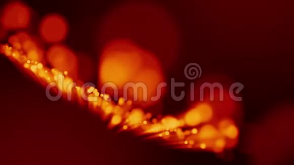 红色黄色发光粒子的4k三维动画漂浮在粘稠液体中并用光线闪烁它是明亮的视频的预览图