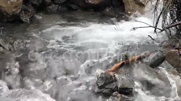 山溪在缓慢运动视频的预览图