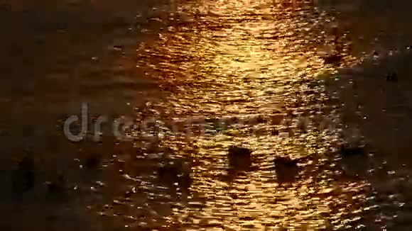 波罗的海上空的日出视频的预览图