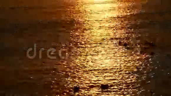 波罗的海上空的日出视频的预览图