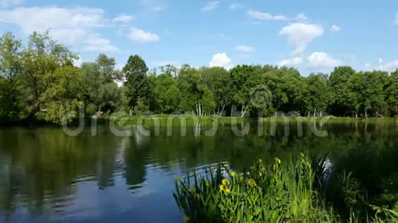 湖泊景观夏季视频的预览图
