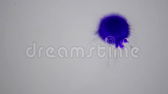 美丽的传播紫色墨水滴视频的预览图