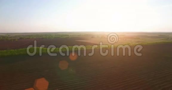 4k鸟瞰图低飞过青黄麦田园视频的预览图