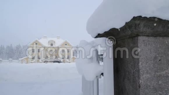 在爱沙尼亚棕榈庄园下雪视频的预览图