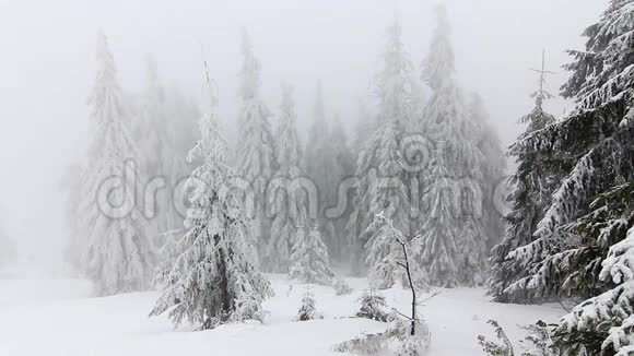 山地冬季景观视频的预览图