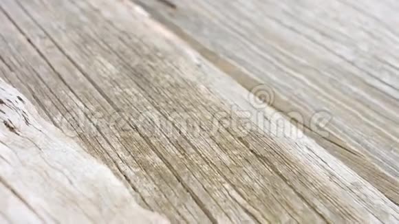 木材纹理背景视频的预览图