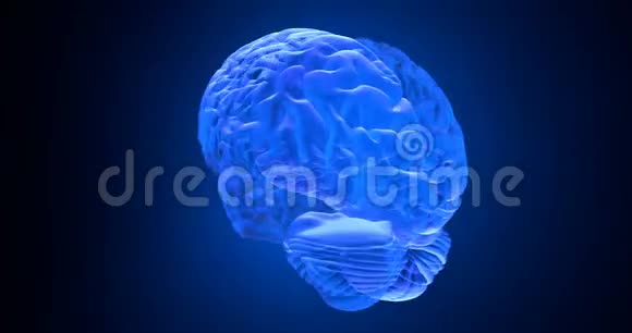 人脑3D渲染视频的预览图