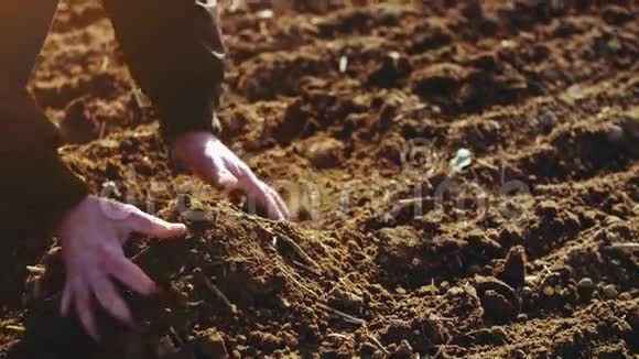 农民检查土壤农业背景视频的预览图