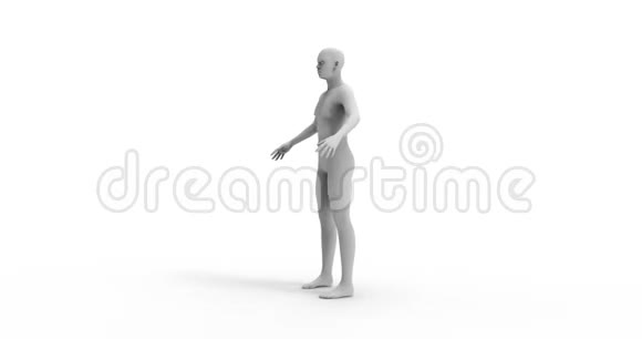 白色背景下分离的人体模型的三维渲染视频的预览图