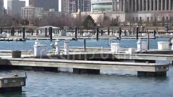 伊利诺伊州芝加哥密歇根湖4k海岸线景观视频的预览图