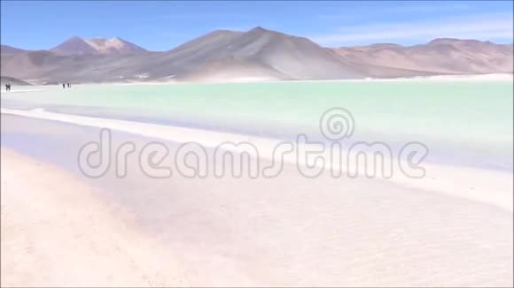 智利阿塔卡马沙漠的景观泻湖和山脉视频的预览图