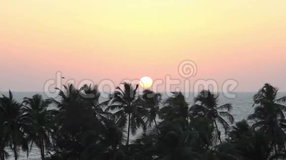 棕榈树在日落时剪影视频的预览图