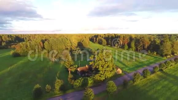 飞越美丽的田野和背景上的树木空中乡村景观视频的预览图