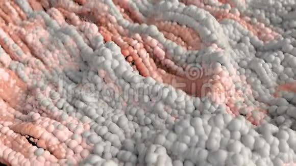抽象的细胞背景视频的预览图