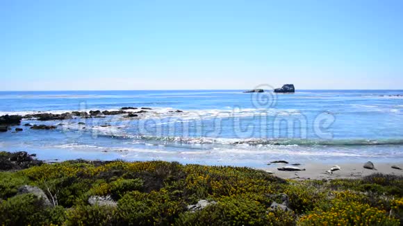 加州大海岸太平洋视频的预览图