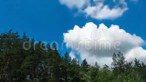 天空中的云在树上移动视频的预览图