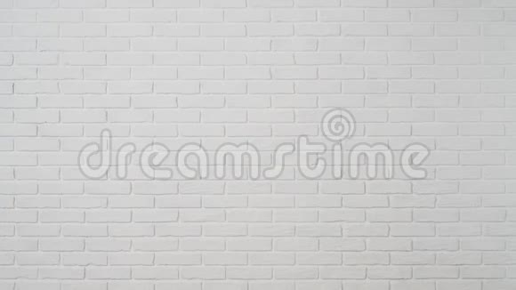 白色砖墙为背景视频的预览图