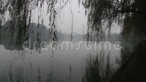 树木倒映入湖中视频的预览图