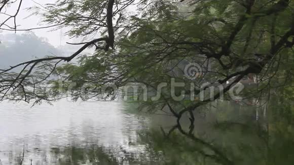 树木倒映入湖中视频的预览图