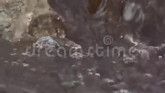 石溪流水干涸的自然芦苇景观视频的预览图