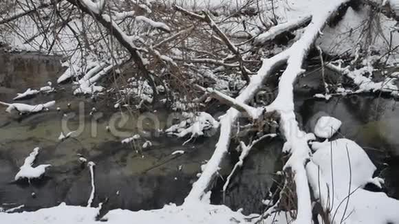 小溪在树林里自然冬日流水小河在山水中白雪皑皑视频的预览图