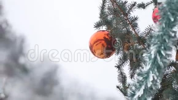圣诞树上挂着冬天的玩具球云杉圣诞新年视频的预览图