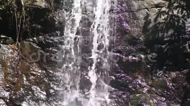 野生丛林中的小瀑布巴拉望岛视频的预览图