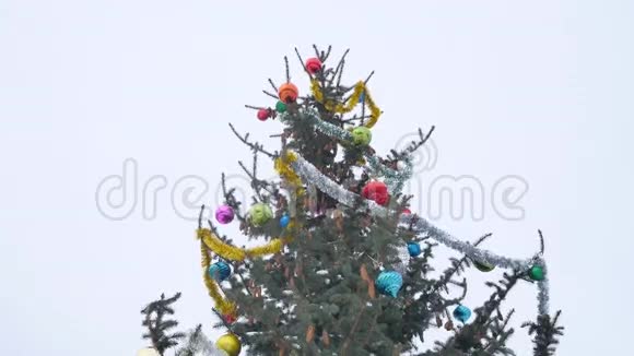 玩具球云杉挂在圣诞树上圣诞新年大自然视频的预览图