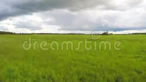 夏季鸟瞰乡村和农田绿色的田野视频的预览图