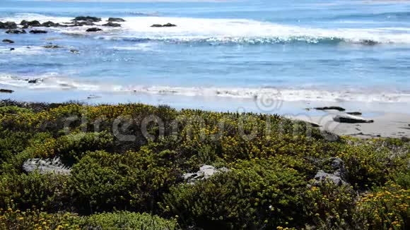 加州大海岸太平洋视频的预览图