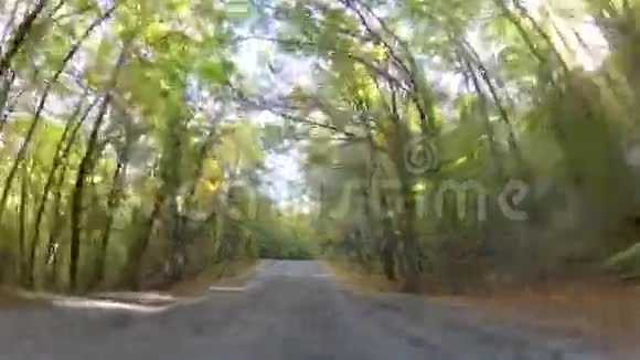 穿过林地的蜿蜒道路GoPro视频的预览图