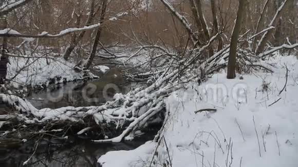 树林中的小溪自然冬天的山水流水雪中的小河视频的预览图