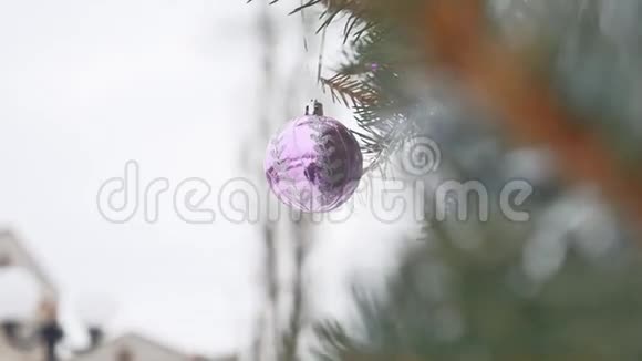 玩具球冬季云杉挂在圣诞树上圣诞新年视频的预览图