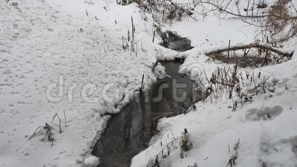 小溪在树林里冬天流水小河在大自然的雪景中流淌视频的预览图