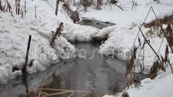 树林里的小溪在冬天里流淌着流水大自然的小河在雪地里的风景视频的预览图
