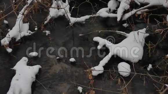 溪边山水林田冬流水小河雪里视频的预览图
