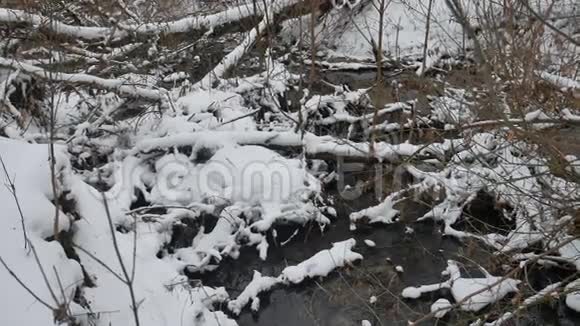 小溪在树林里山水自然冬天流水小河在雪地里流淌视频的预览图
