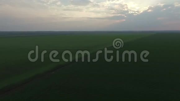 美丽的绿野和明亮的天空背景的空中景观视频的预览图