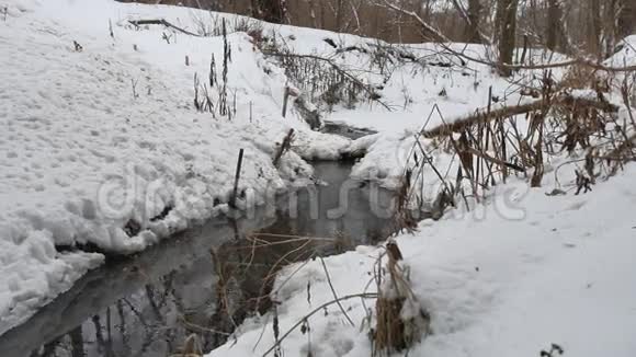 小溪在树林里的冬天自然流淌着水小河在雪地里的风景视频的预览图